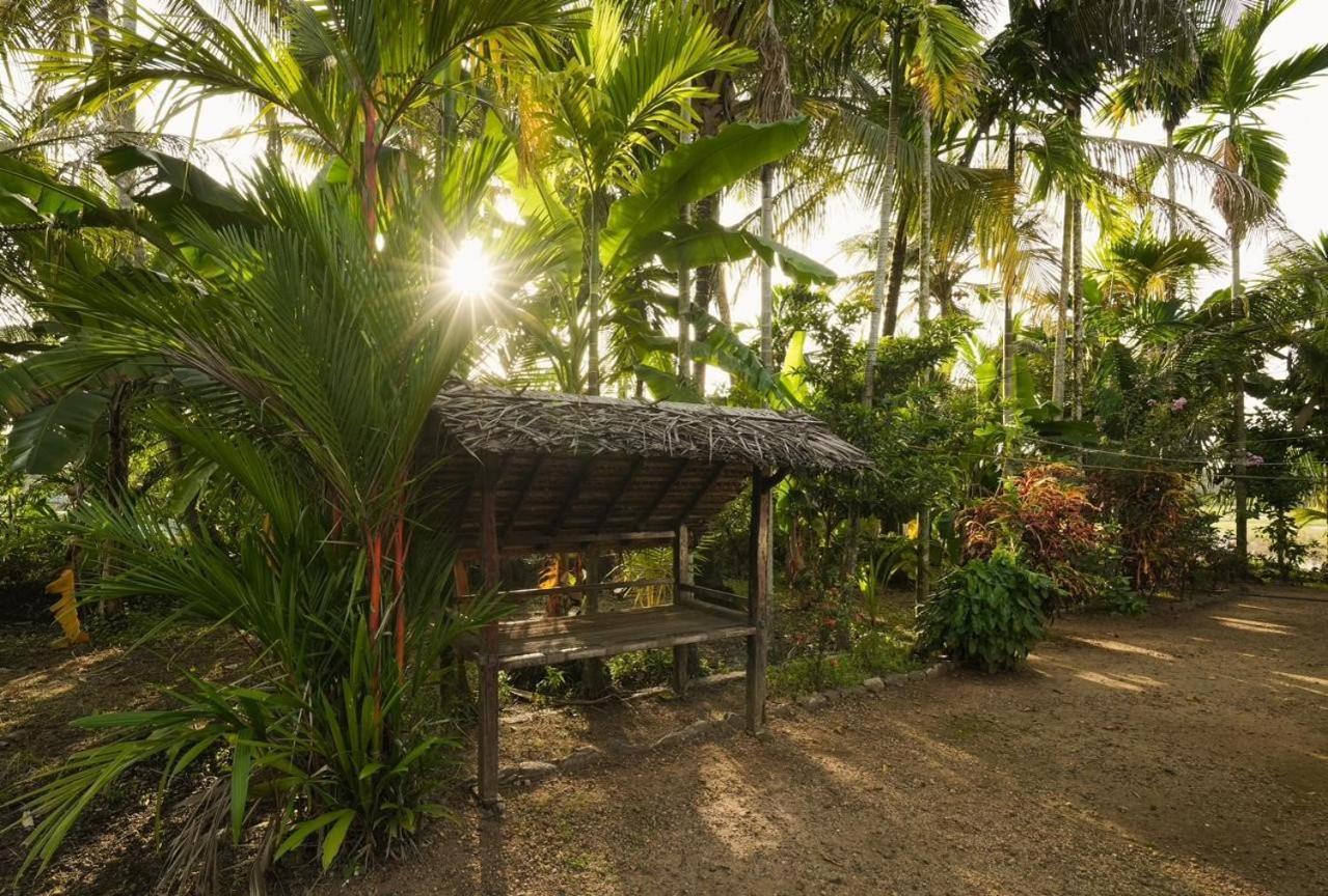 Cocozone Stays Alappuzha Buitenkant foto